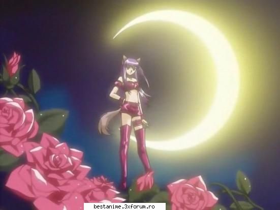 Masca din spatele celebritatii - Nu mi-a venit in minte alt nume Cum credeti ca - Mew Mew Power
