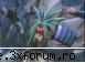 pics & wallpapers - Ionut Dragonul Albastru - Shaman King